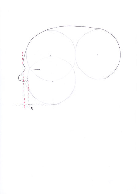 450x633 How To Draw Profile Face I Draw Fashion - Side Profile Face Drawing