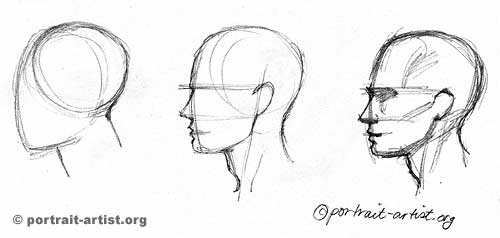 500x238 Photos How To Draw Profile View - Side Profile Face Drawing