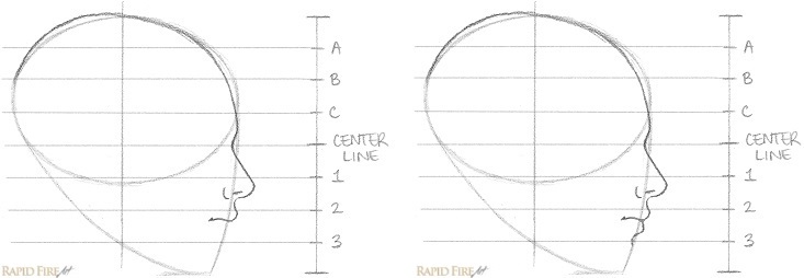 733x254 How To Draw A Female Face - Side View Face Drawing