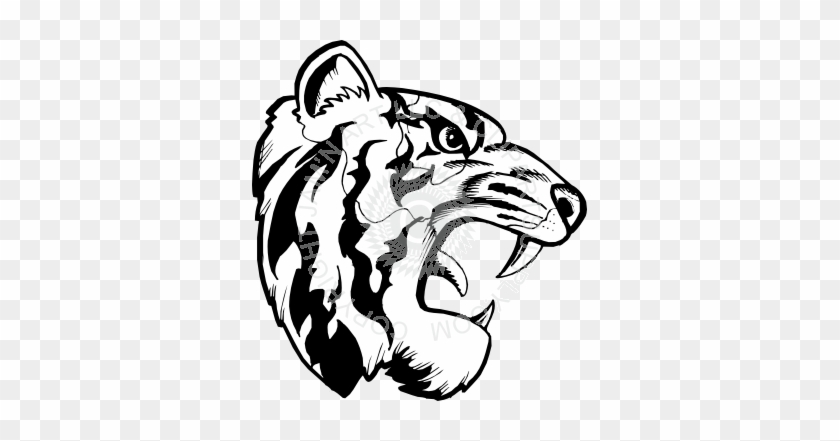 840x441 Tiger Face Side View Drawing - Side View Face Drawing