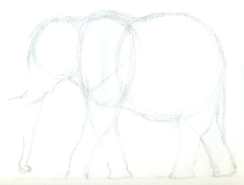 Side View Of Elephant Drawing at PaintingValley.com | Explore ...