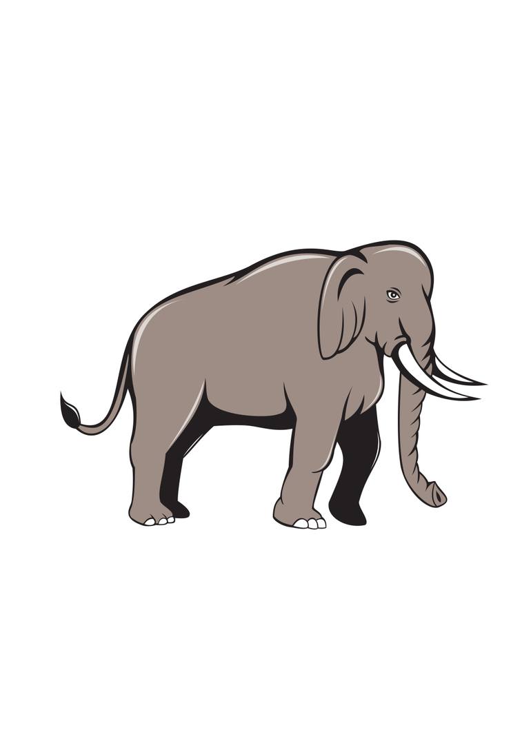 770x1078 Indian Elephant Side View Cartoon New Media - Side View Of Elephant Drawing