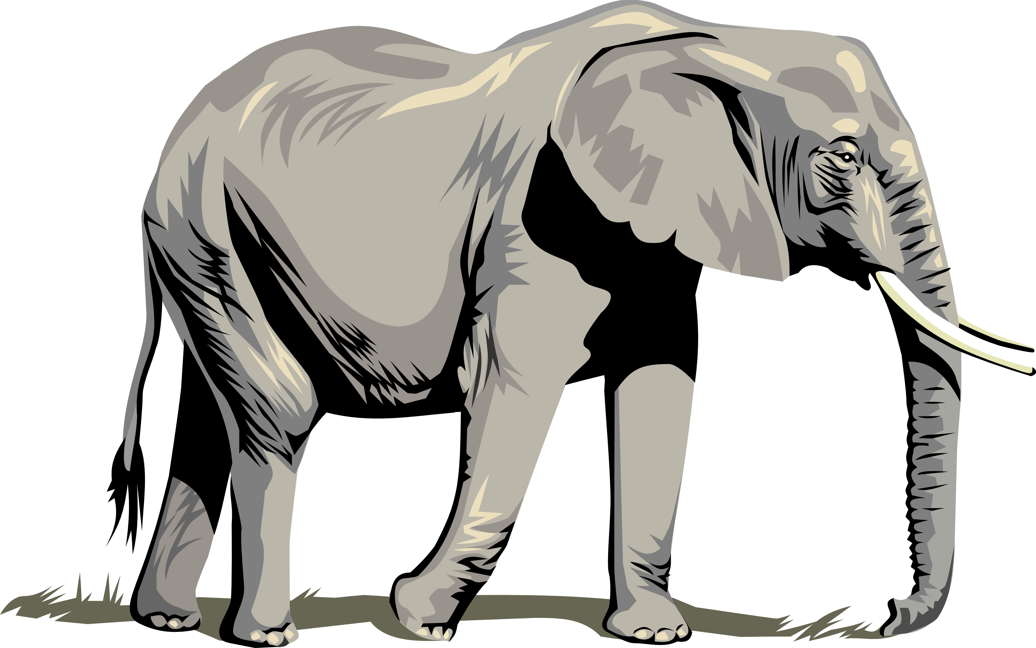 3333x2084 Collection Of Free Transparent Elephant Side View Download On Ui Ex - Side View Of Elephant Drawing