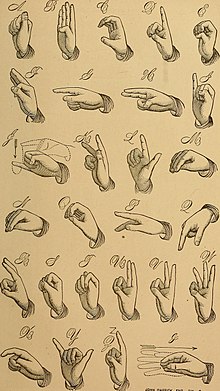 220x391 fingerspelling - Sign Language Drawings