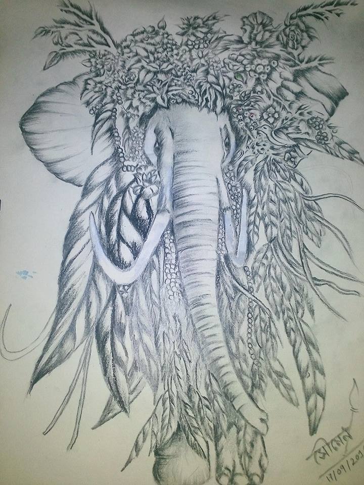 720x960 silence of animal that talks his beauty - Silence Drawing