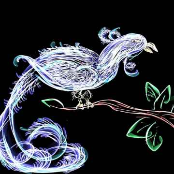 360x360 silk paints - Silk Drawing