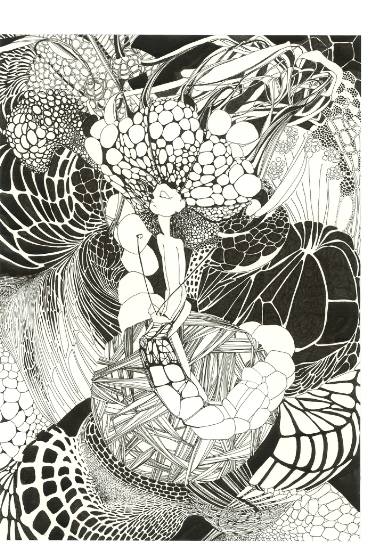 375x545 silkworm drawing - Silkworm Drawing