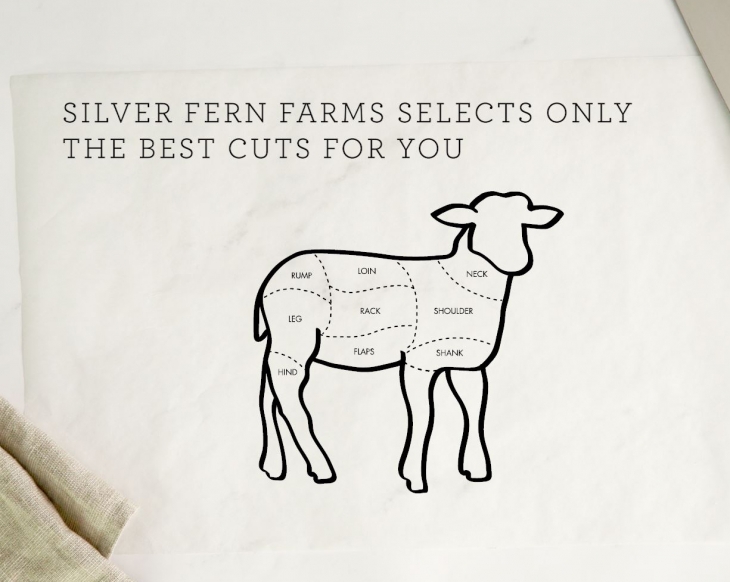730x582 recipes silver fern farms - Silver Fern Drawing