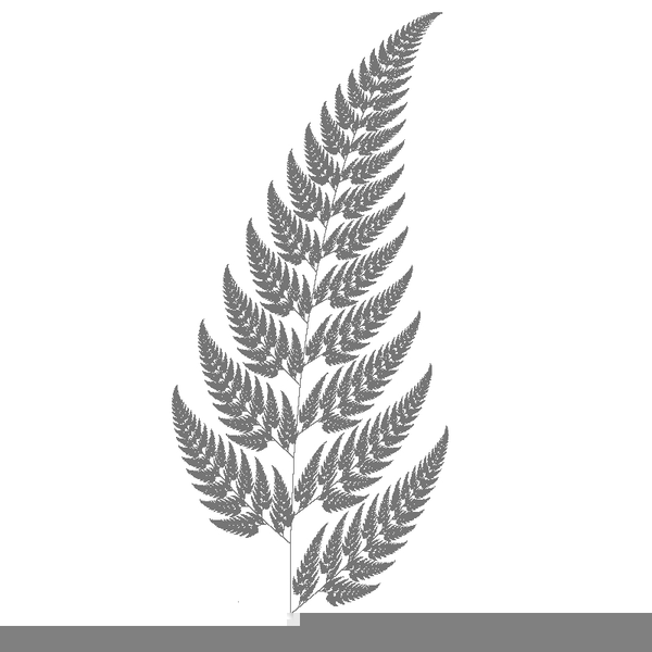 600x600 silver fern clipart free images - Silver Fern Drawing