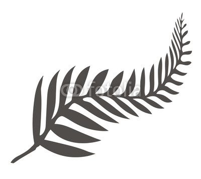 Silver Fern Drawing at PaintingValley.com | Explore collection of ...