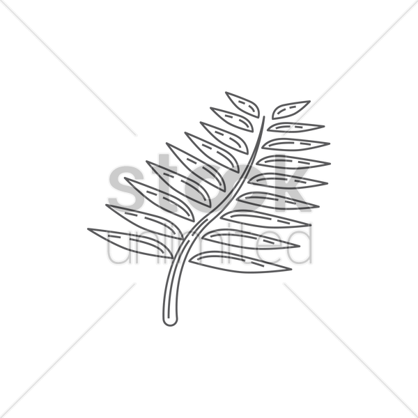 600x600 silver fern vector image - Silver Fern Drawing