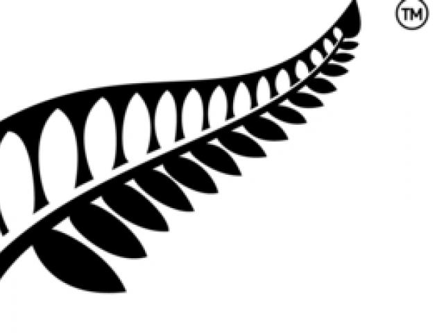 640x480 social media backlash over silver fern logo otago daily times - Silver Fern Drawing