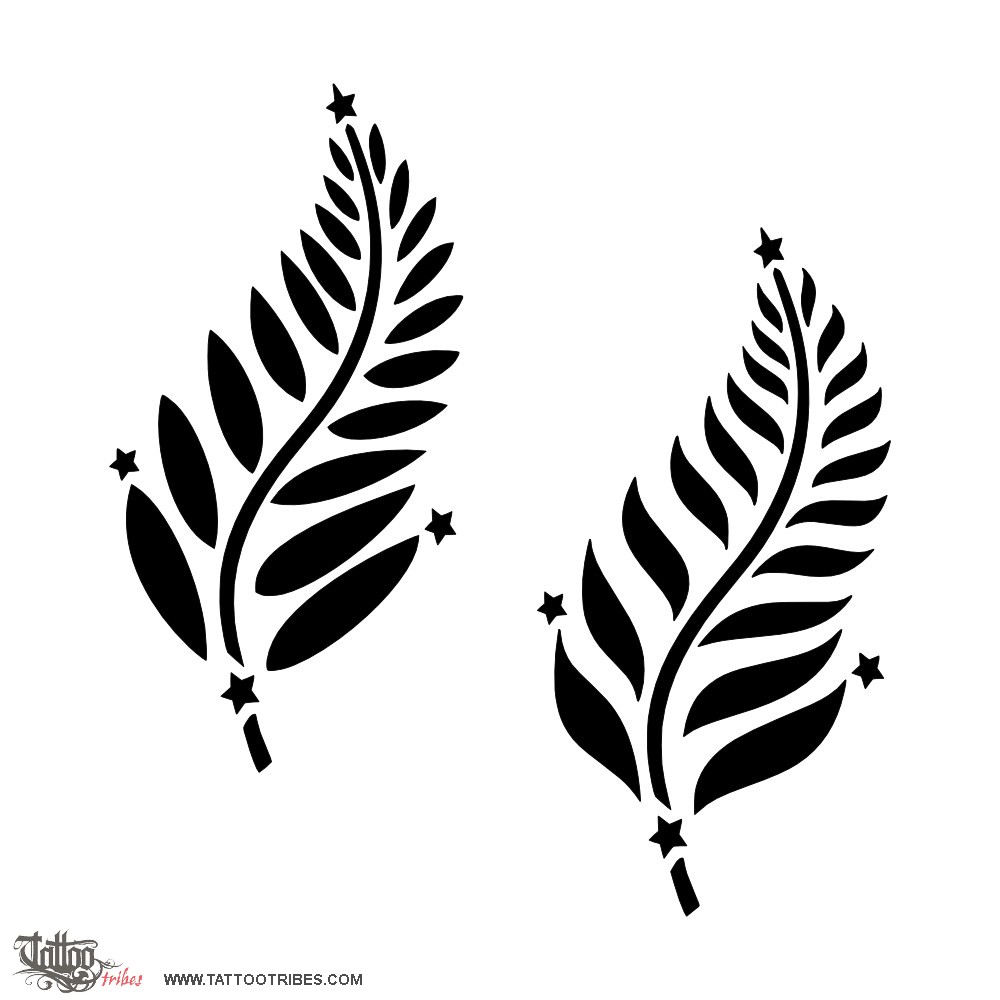 1000x1000 tattoo of silver fern, southern cross tattoo - Silver Fern Draw.....