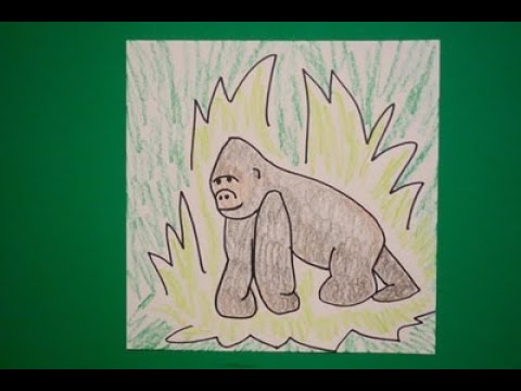 480x360 Let's Draw A Silverback Gorilla! - Silverback Gorilla Drawing