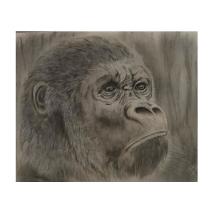 300x300 Silverback Gorilla Drawing - Silverback Gorilla Drawing