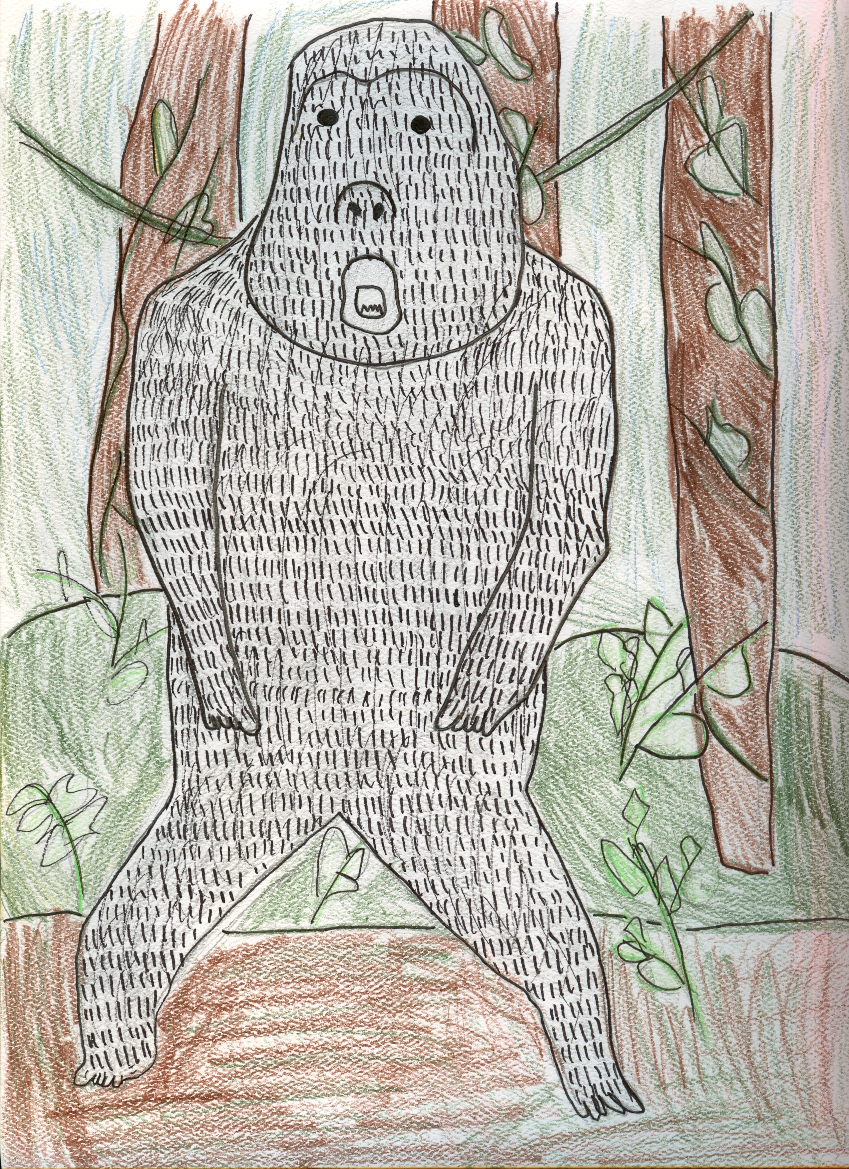 1700x2340 Sfslsprojects Gorilla Communication And Behavior - Silverback Gorilla Drawing