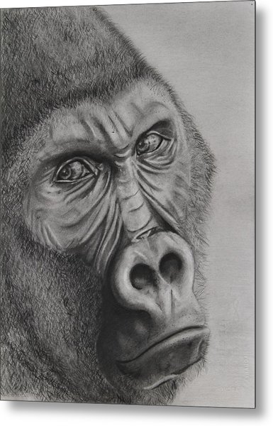 385x600 Behind The Eyes Of A Silverback Gorilla Drawing - Silverback Gorilla Drawing