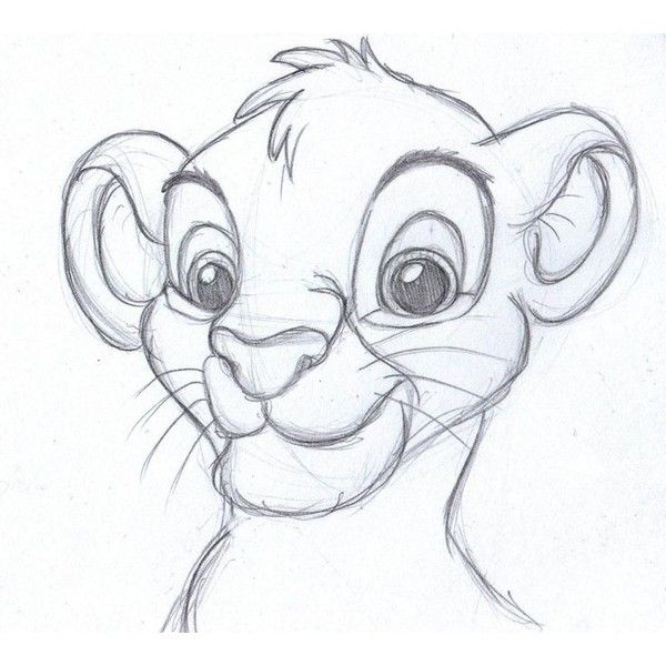 600x600 Disney Sketch Simba, The Lion King My Drawings Liked - Simba Drawing