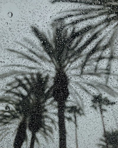 400x500 Simba Tree Tumblr - Simba Drawing On Tree