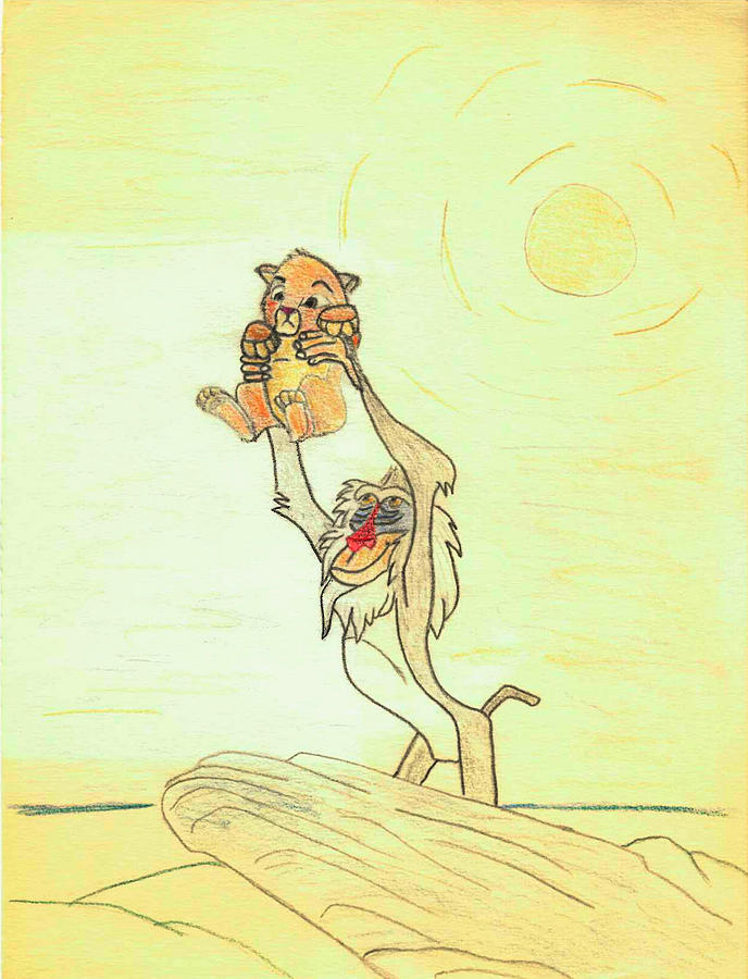 688x900 the presentation of simba from walt disney's the lion king - Simba Lion King Drawing