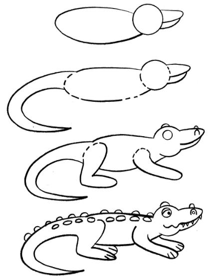425x559 how to draw an alligator - Simple Alligator Drawing