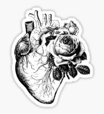 210x230 simple anatomical heart gifts merchandise redbubble - Simple Anatomical Heart Drawing