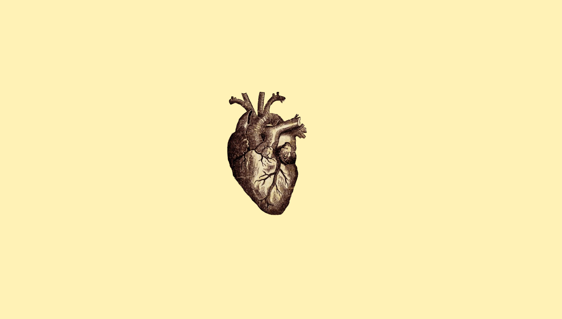 1900x1080 Wallpaper Drawing, Illustration, Digital Art, Simple Background - Simple Anatomical Heart Drawing