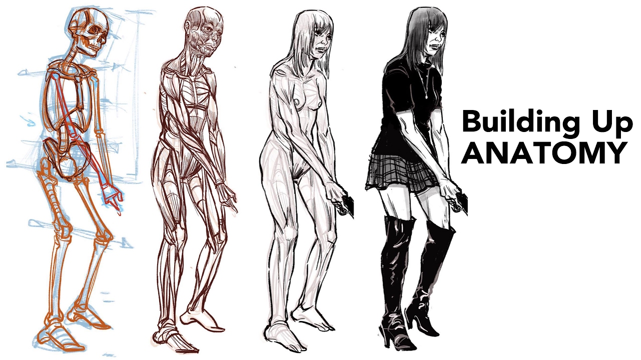 1280x720 Figure Drawing - Simple Anatomy Drawing