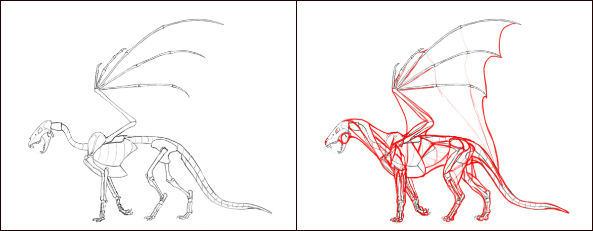 1200x468 how to draw dragons step - Simple Anatomy Drawing