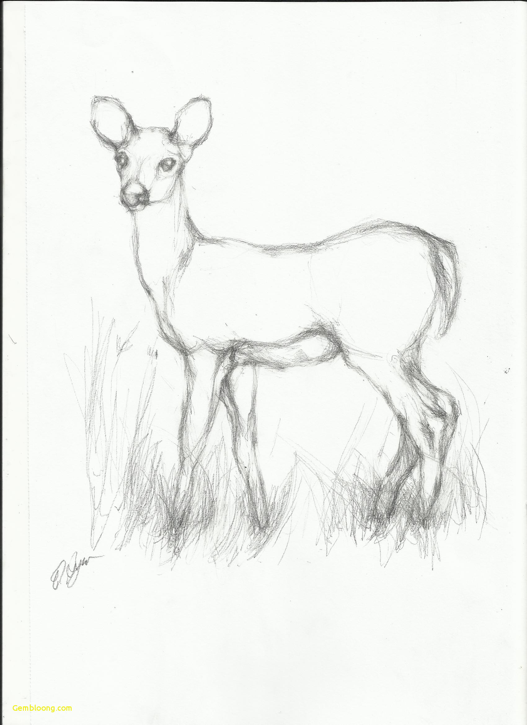 1700x2338 simple angel drawing amazing simple deer drawing - Simple Angel Drawing
