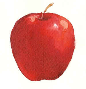 300x310 The Simple Drawing Idea Of Intrigue And Mystery - Simple Apple Drawing