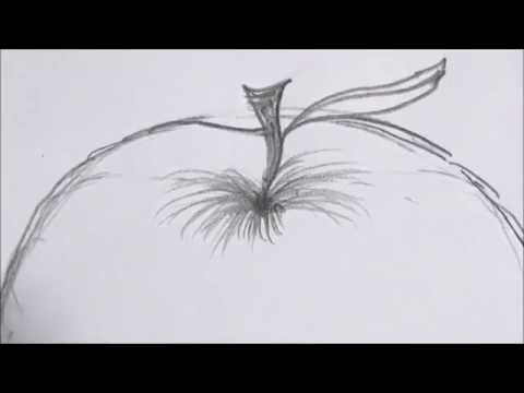 480x360 Simple Drawings Step - Simple Apple Drawing