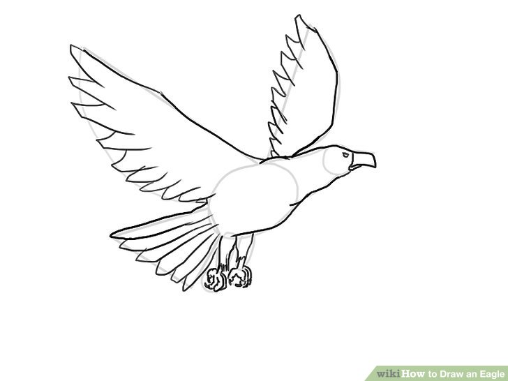 728x546 drawn bald eagle simple - Simple Bald Eagle Drawing