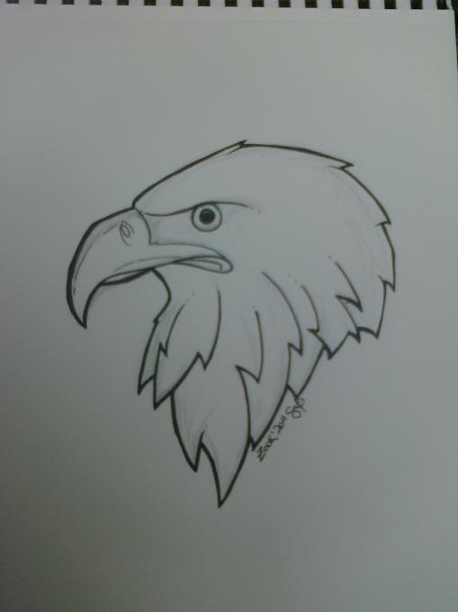 509x680 Eagle Nature Drawings Pictures Drawings Ideas For Kids Easy - Simple Bald Eagle Drawing