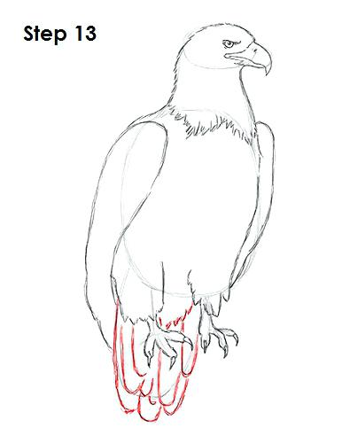 386x500 how to draw a egale simple eagle drawings how to draw an eagle - Simple Bald Eagle Drawing