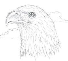 236x210 Best Eagle Drawing Images Drawings, Paintings, Birds - Simple Bald Eagle Drawing