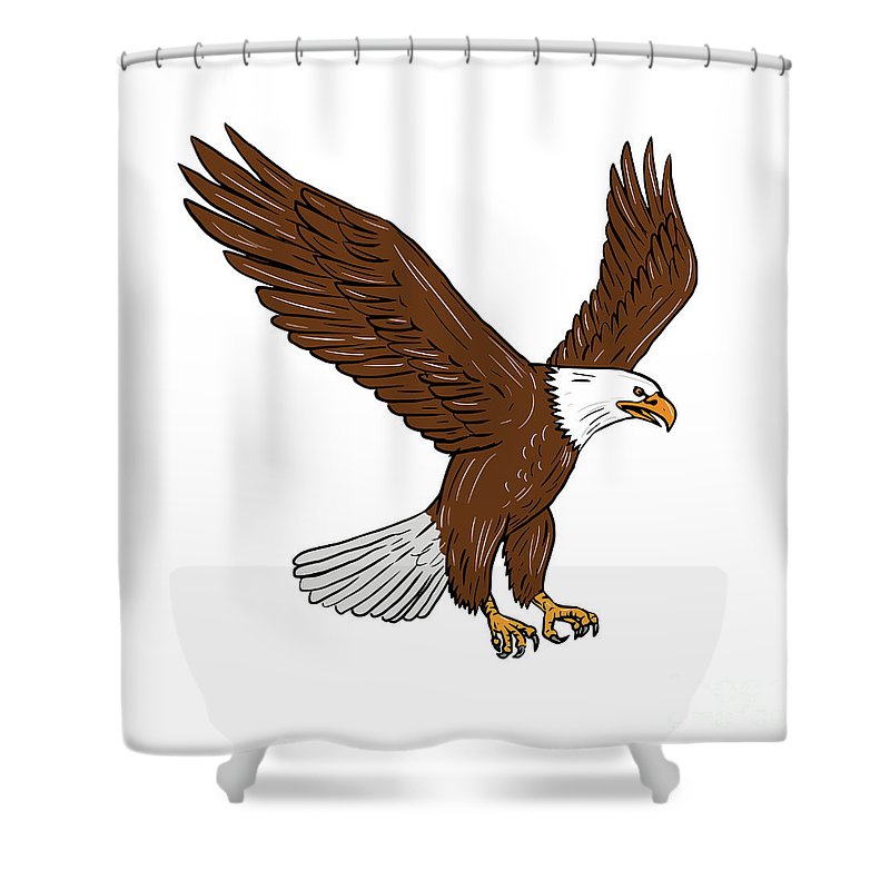 800x800 bald eagle flying drawing shower curtain for sale - Simple Bald Eagle Drawing