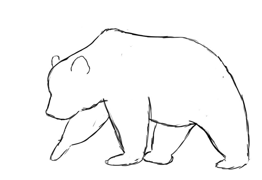 1024x704 how to draw a bear drawings bear drawing, drawings, bear tattoos - Simple Bear Drawing
