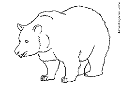 250x181 How To Draw Bears Drawing Tutorials Drawing How To Draw - Simple Bear Drawing