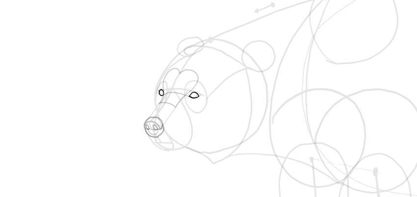 850x402 How To Draw A Bear - Simple Bear Drawing