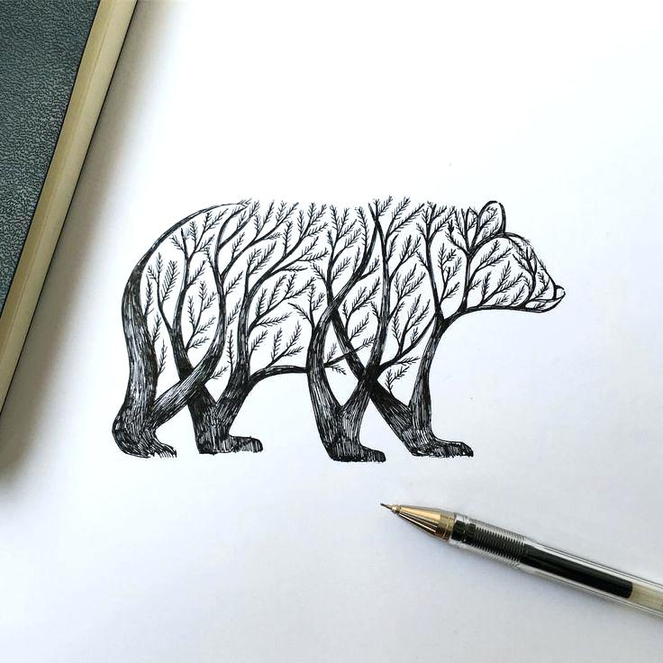 736x736 Simple Bear Drawing Step Simple Teddy Bear Drawing - Simple Bear Drawing