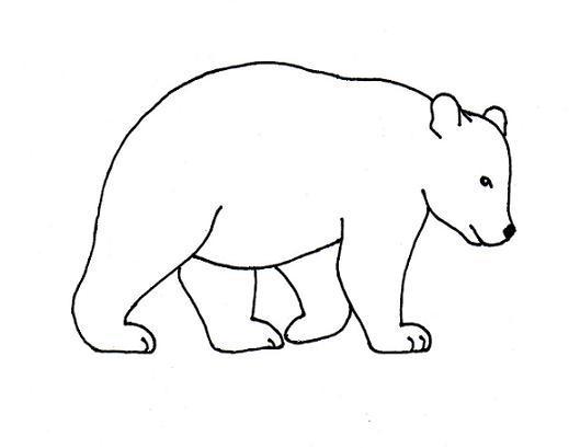 519x409 Bear Drawing - Simple Bear Drawing