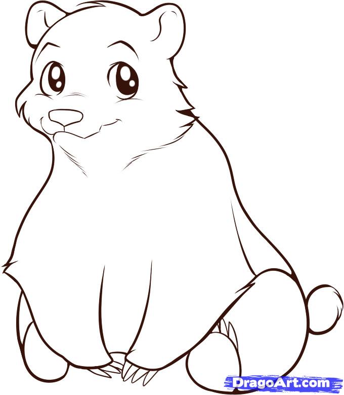 680x779 Bear Drawing Easy - Simple Bear Drawing