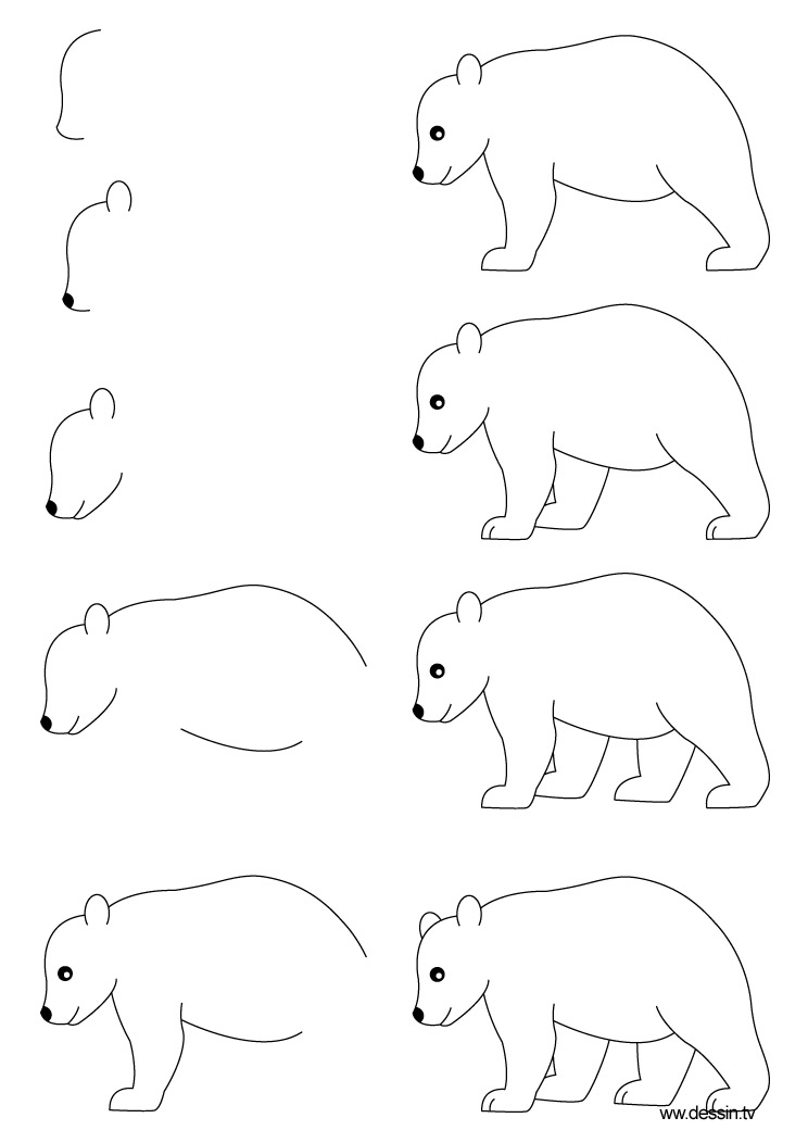 744x1052 Drawing Bear - Simple Bear Drawing