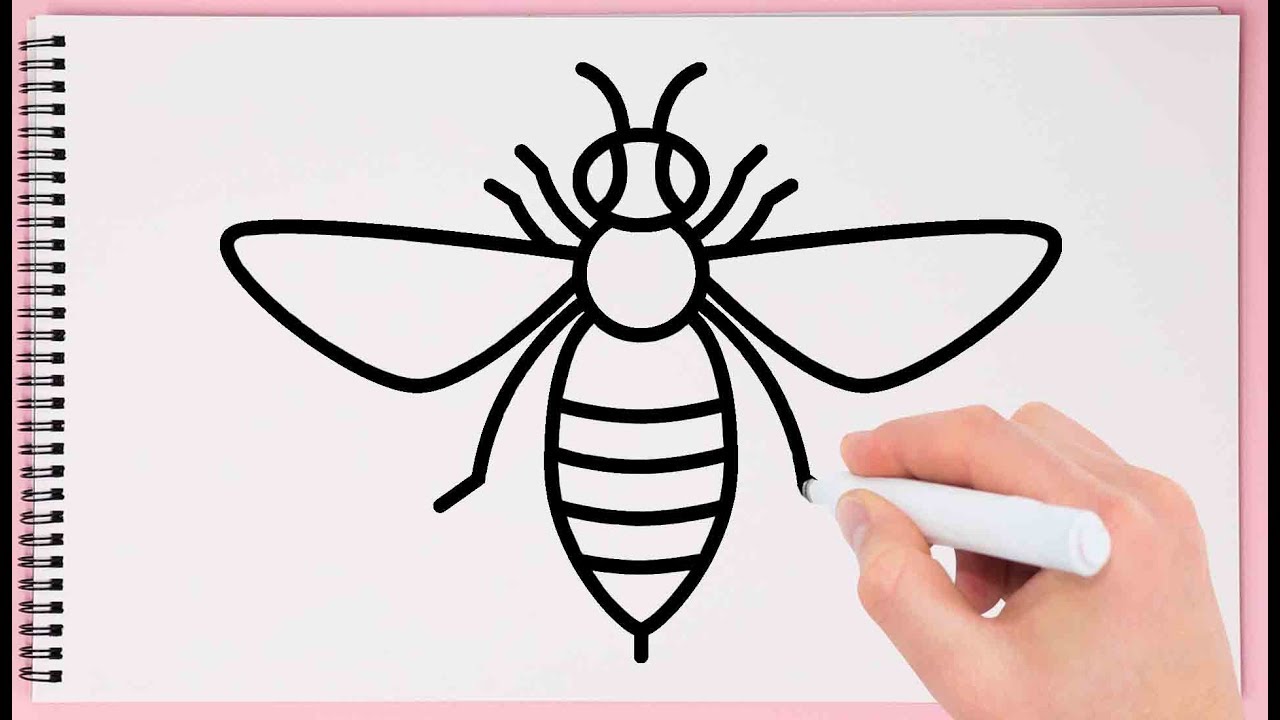 1280x720 How To Draw Honey Bee Step - Simple Bee Drawing