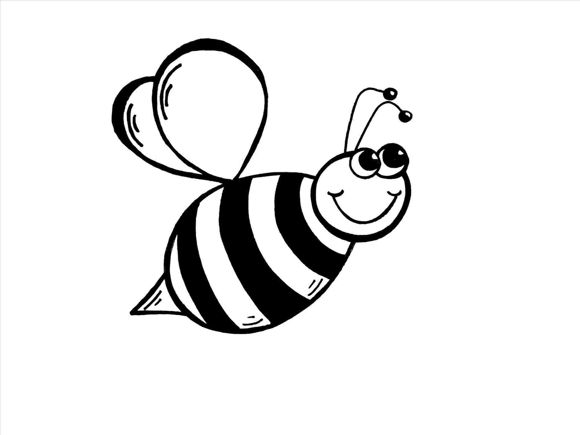 1899x1424 rhdrawingforkidscom getdrawingscom personal use rhgetdrawingscom - Simple Bee Drawing