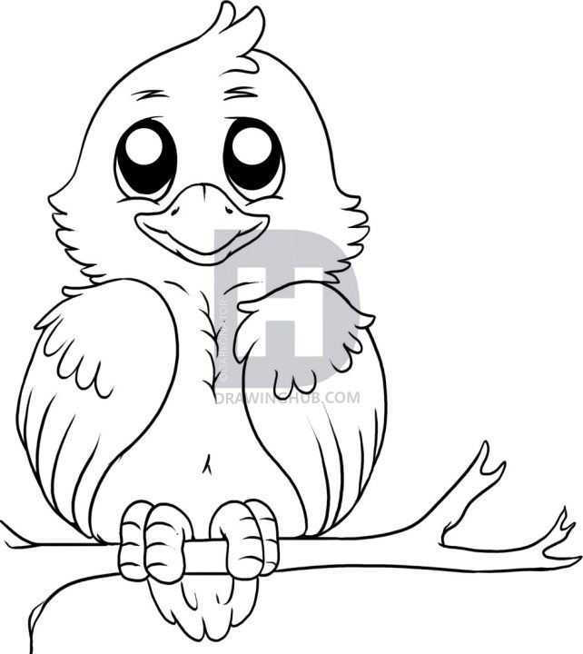 642x720 How To Draw A Simple Bird, Step - Simple Bird Drawing