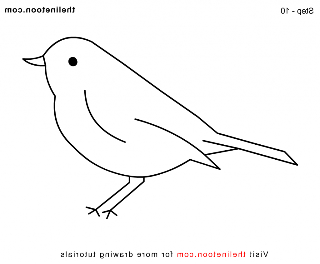 910 Simple Bird Coloring Pages Images & Pictures In HD