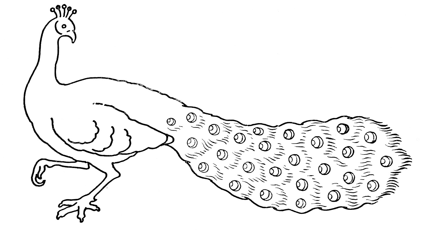 1458x798 Huge Collection Of 'drawing For Kids Birds' Download More Than - Simple Bird Drawing For Kids