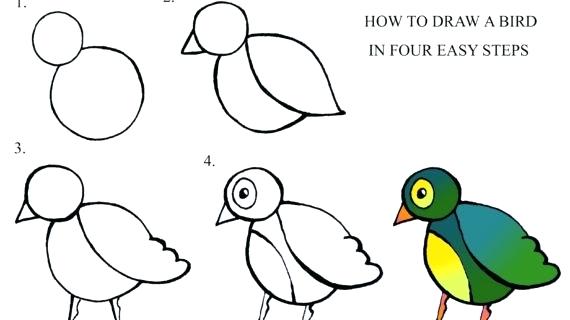 570x320 How To Draw A Step - Simple Bird Drawing For Kids
